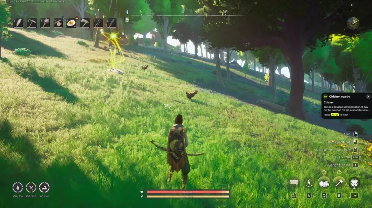 Chicken