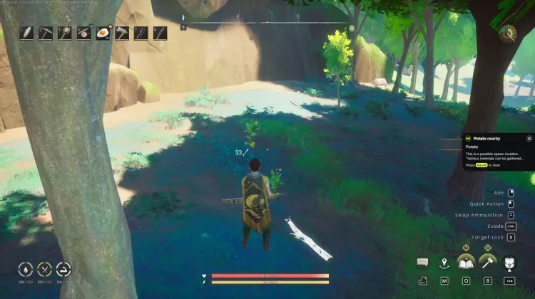 Potato