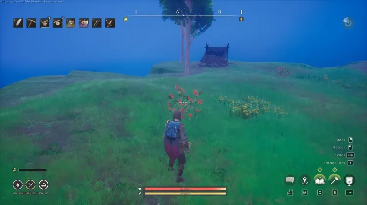 Redberry Bush x2