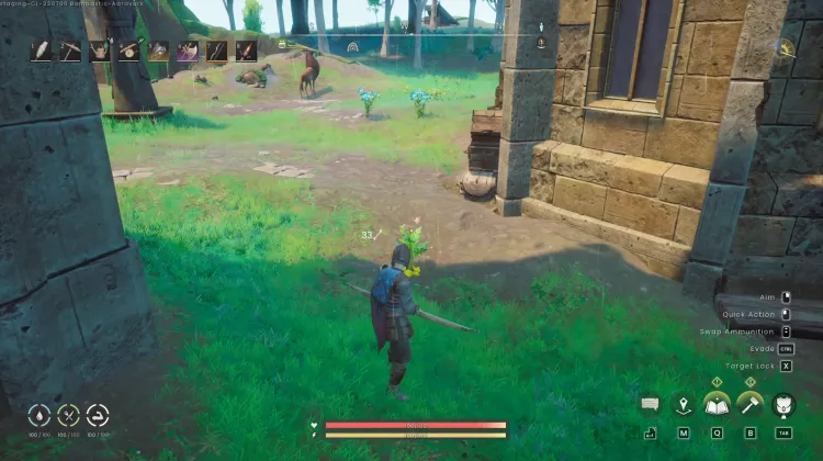 Potato