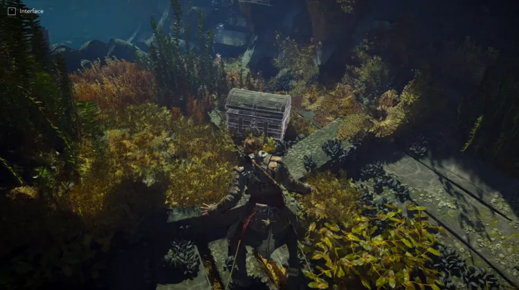 Underwater Chest