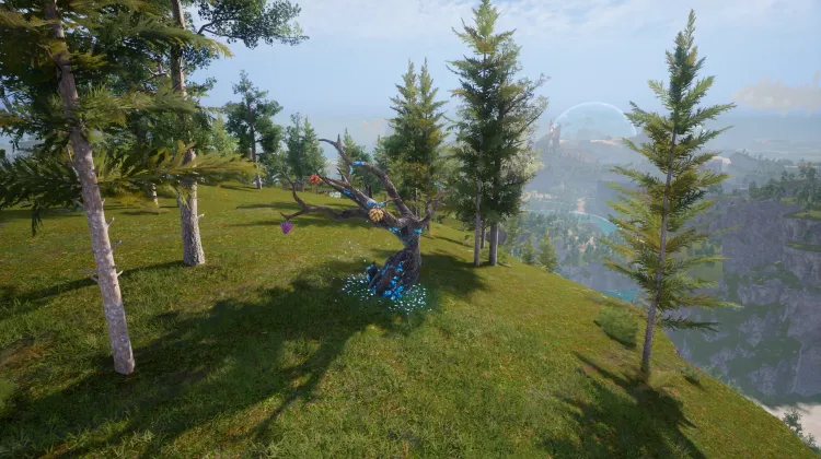 Skill Fruit Tree
