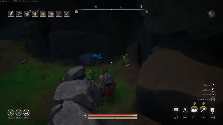 Potato