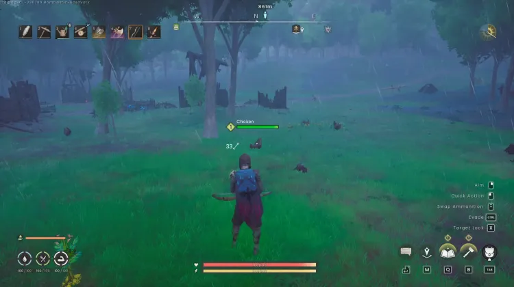 Chicken