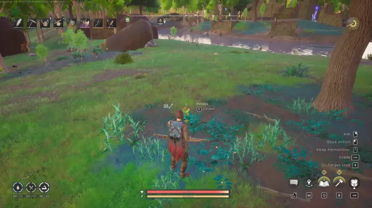 Potato