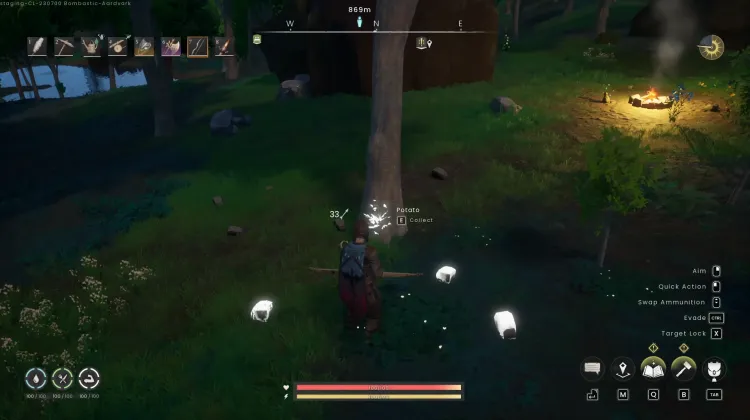Potato