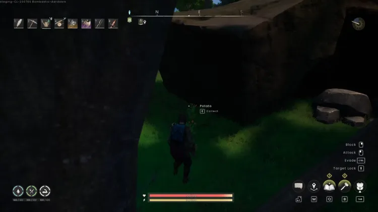 Potato