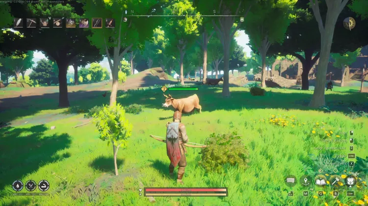 Cow
