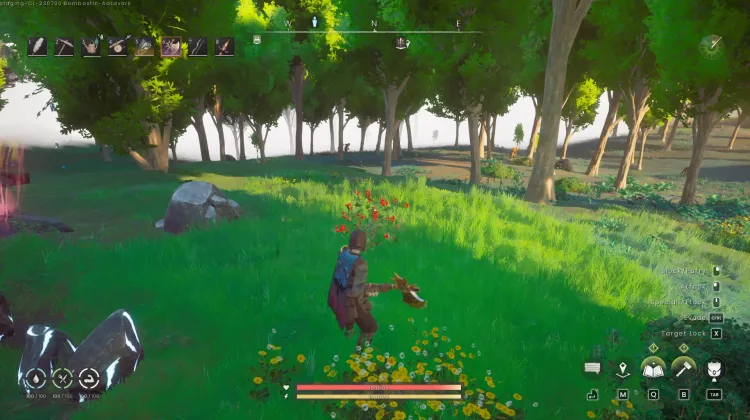 Redberry Bush
