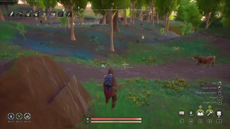 Potato