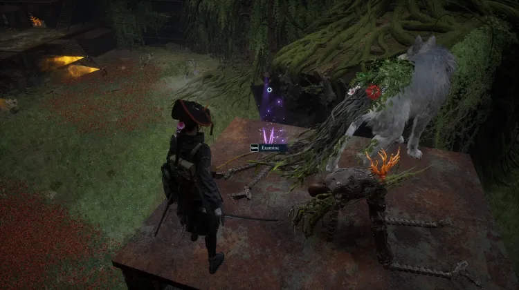 Homing Shots