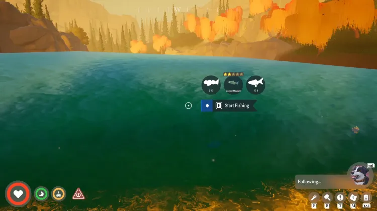 Fishing Spot