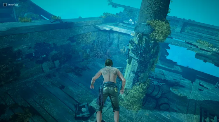 Chest