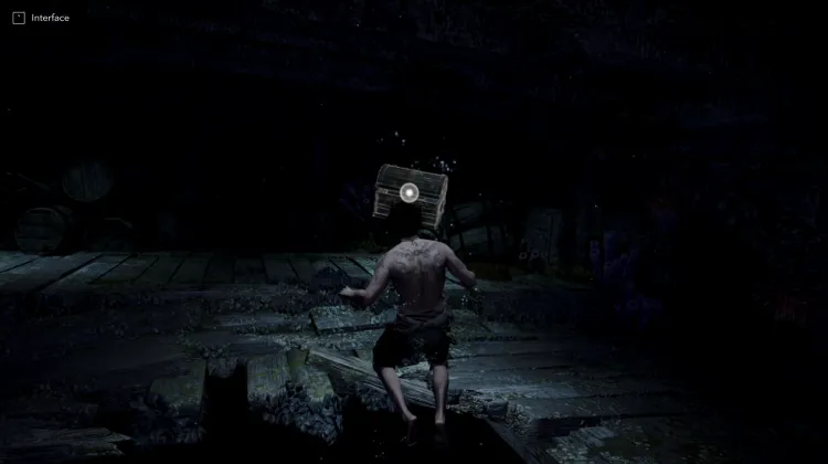 Chest