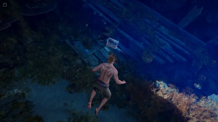 Chest