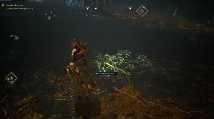 Fish