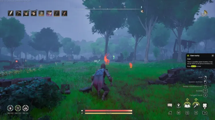 Deer