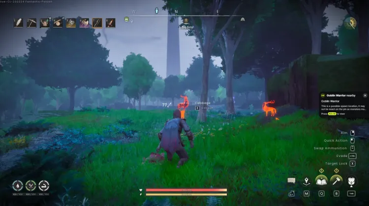 Deer