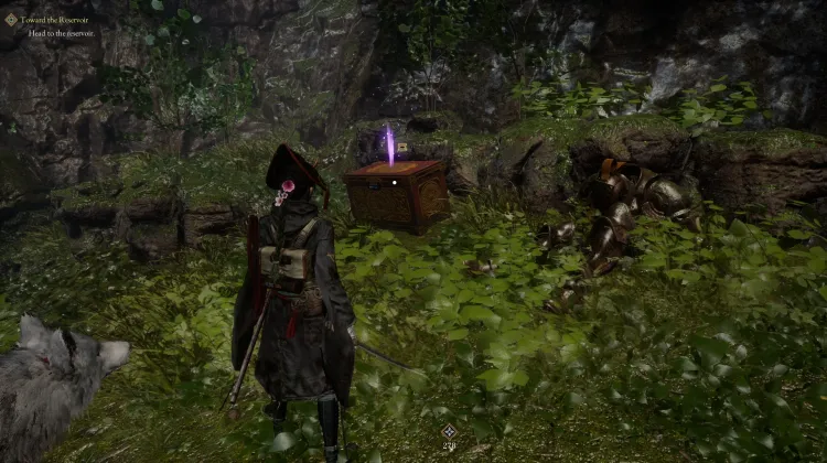Treasure Box