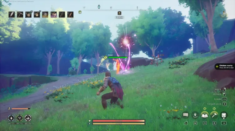 Deer