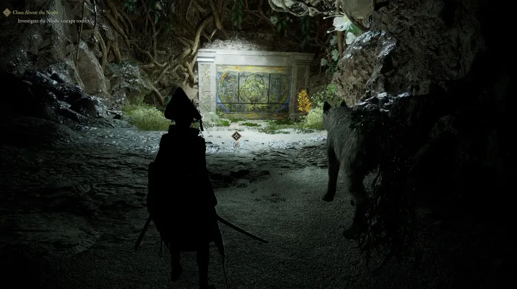 Clues About the Nushi