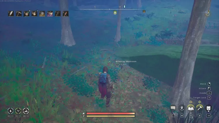 Mushroom