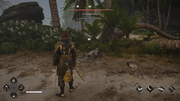 Treasure Map