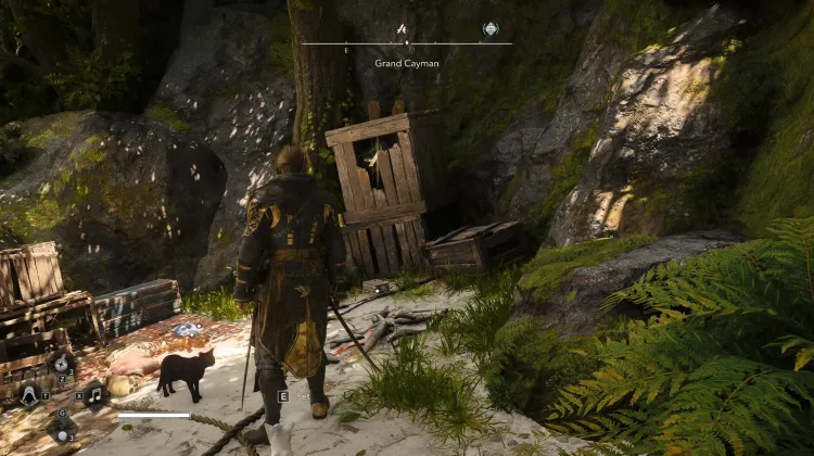 Animus Key