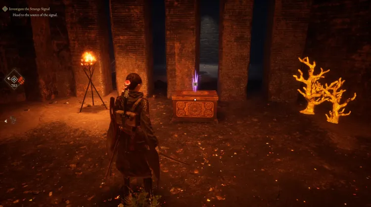 Treasure Box