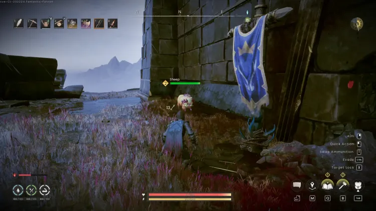Sheep