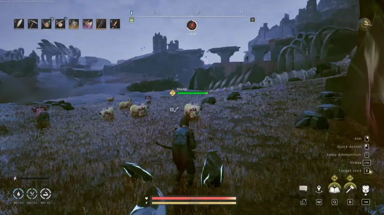 Sheep