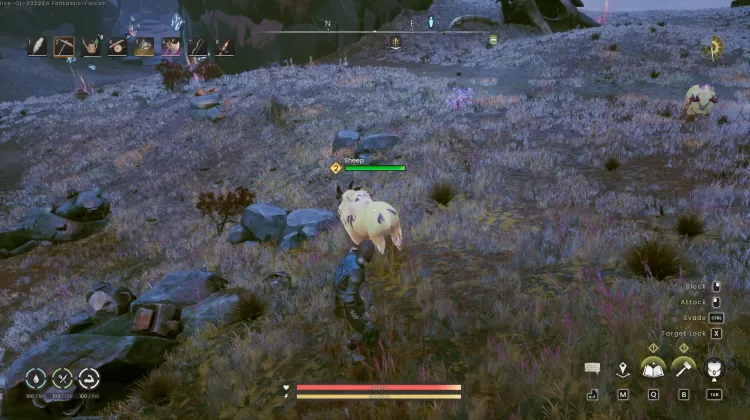 Sheep