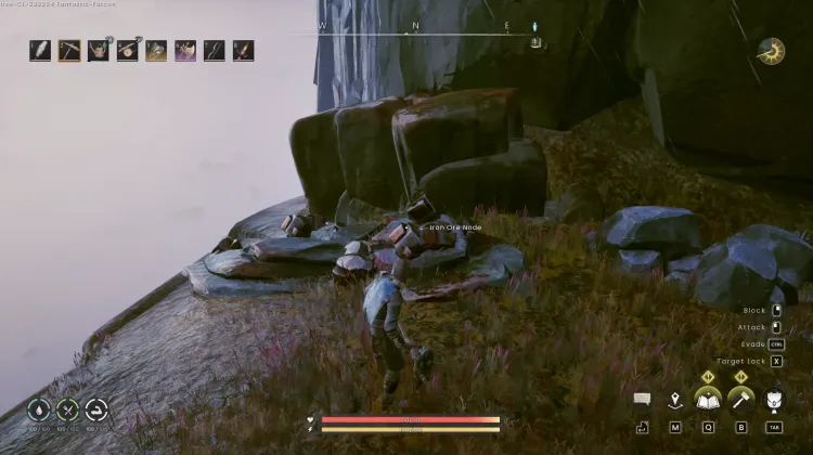 Iron