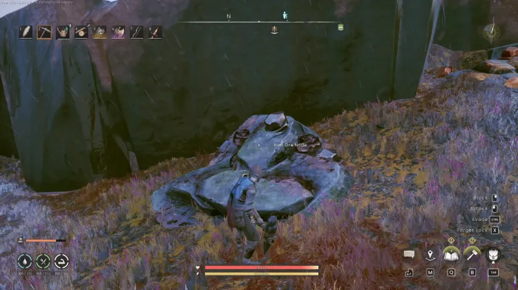 Iron