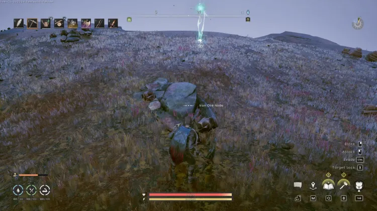 Iron
