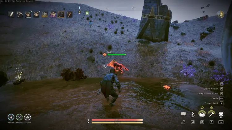 Wolf
