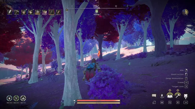 Deer