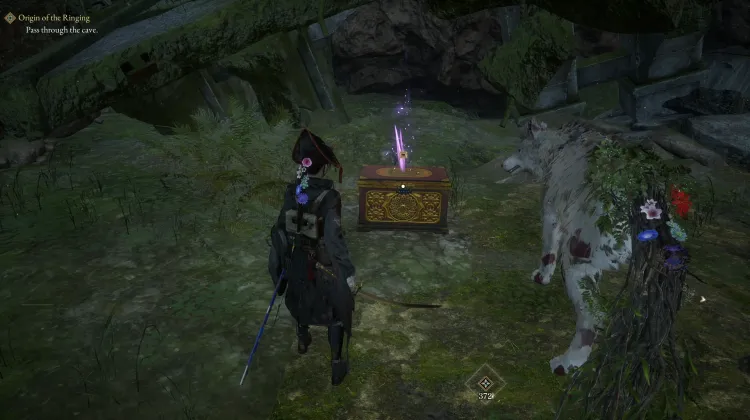 Treasure Box