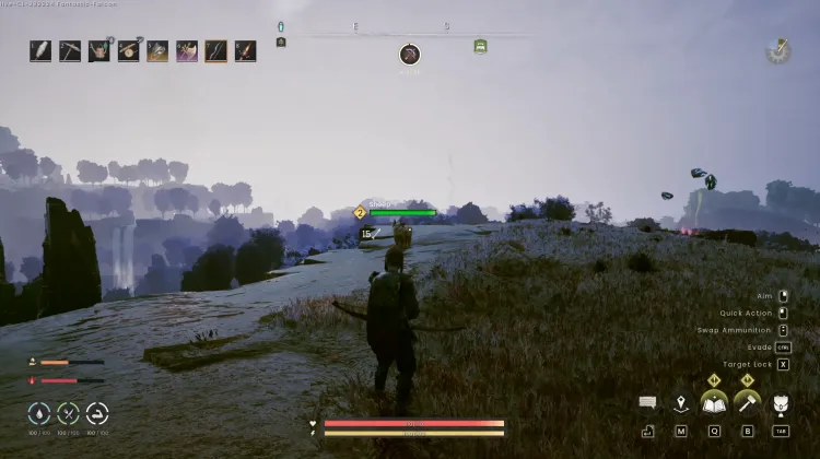 Sheep