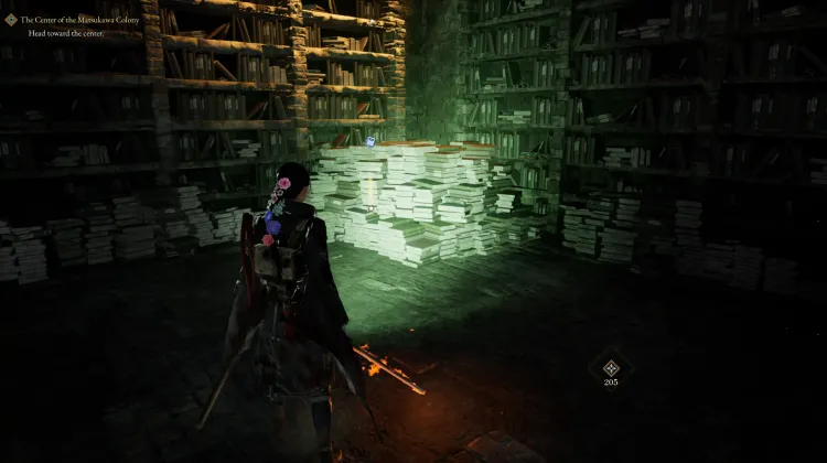 Ancient Book (Common)