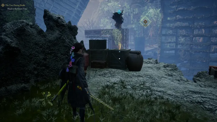 Treasure Box
