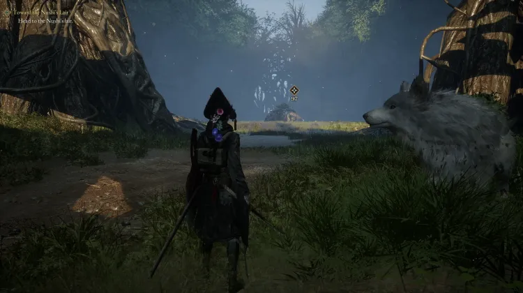 Toward the Nushi's Lair
