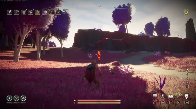 Deer