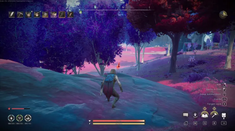 Deer