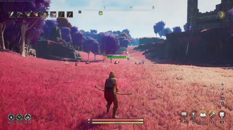 Chinchompa