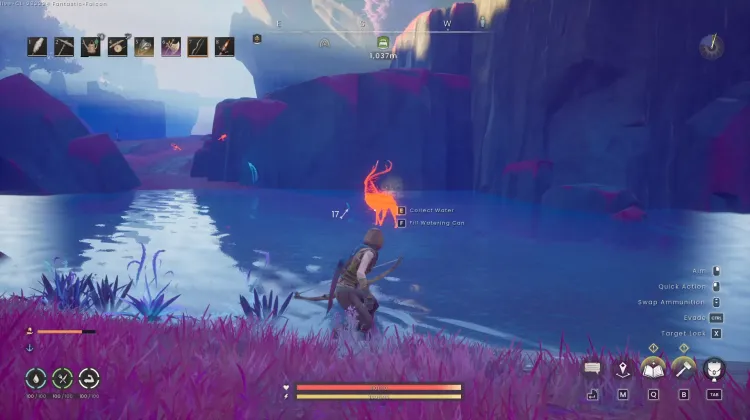 Deer