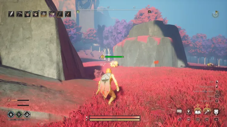 Sheep