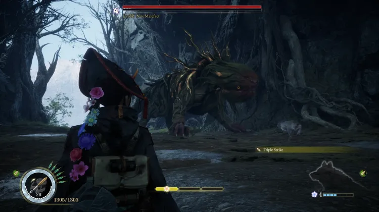 Nue Malefact