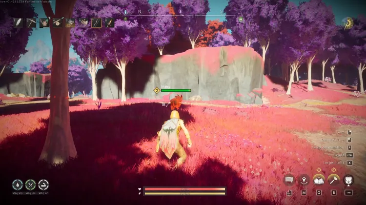 Sheep