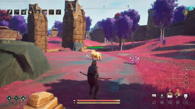 Sheep